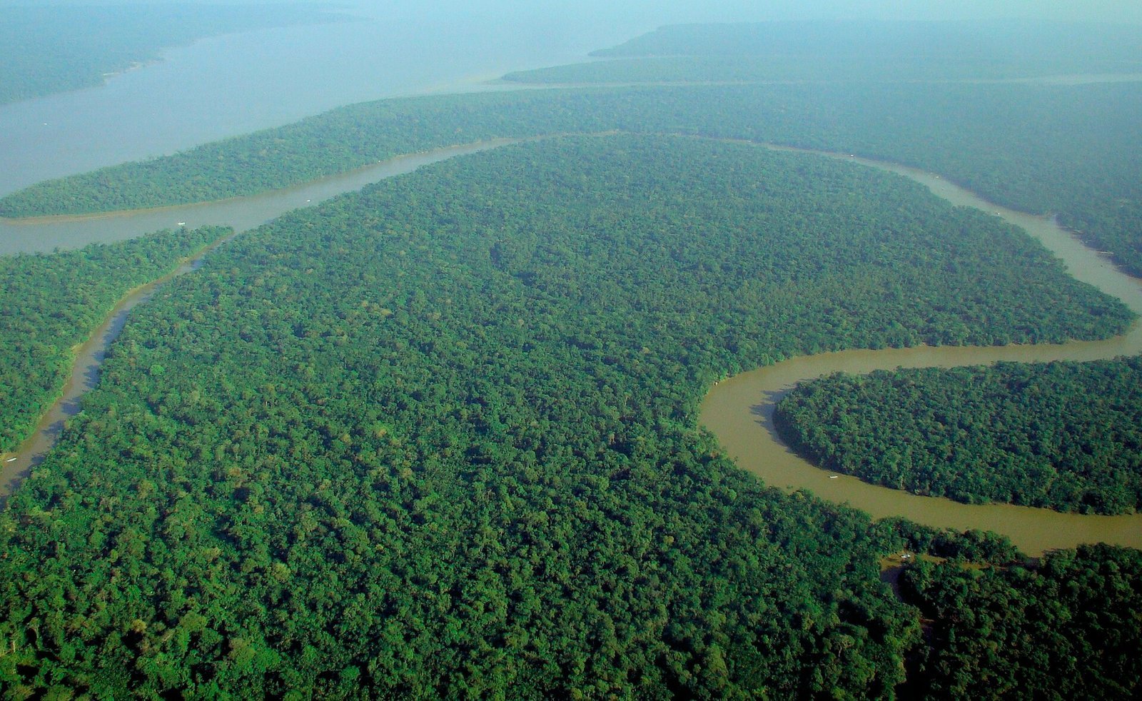 A river winding through dense Amazon rainforest seen from above