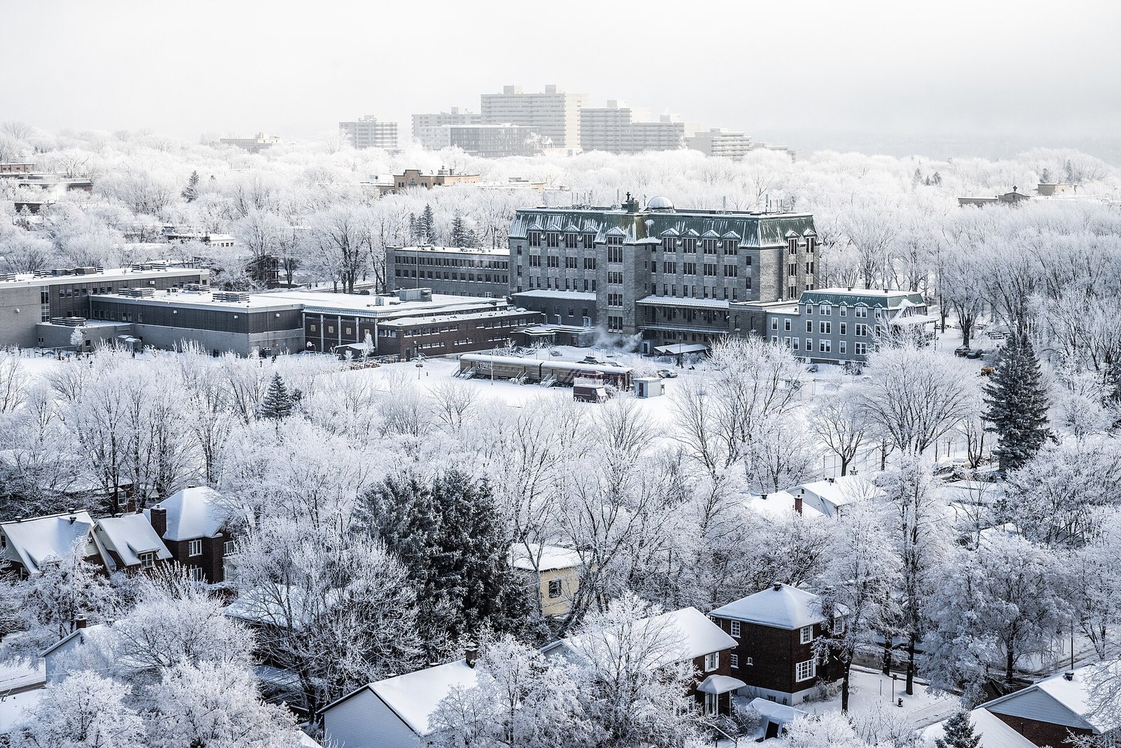 Snow-covered rooftops and trees across a Canadian city in winter fog