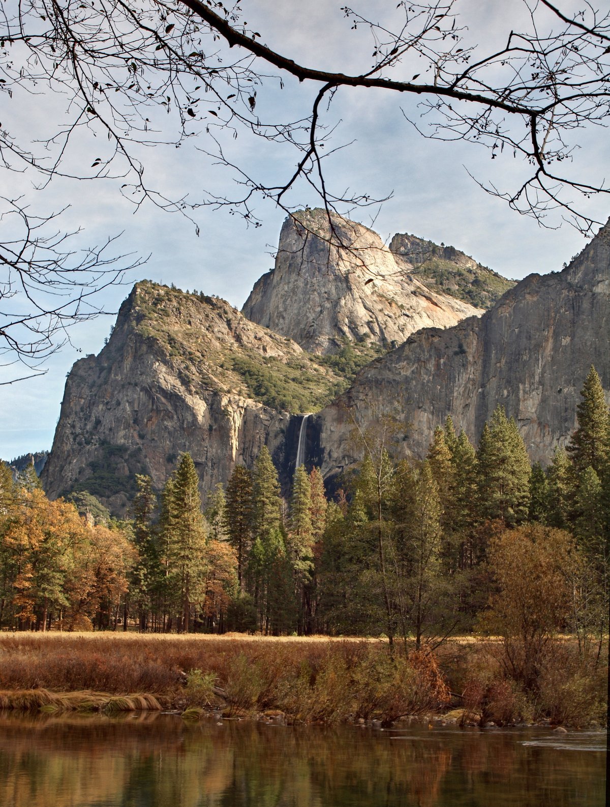 Yosemite Valley with El Capitan in the background, a meadow in the foreground